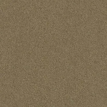 Draufsicht Girloon TWIN Teppichboden Velours 870 Mandel, 2/4 m breit